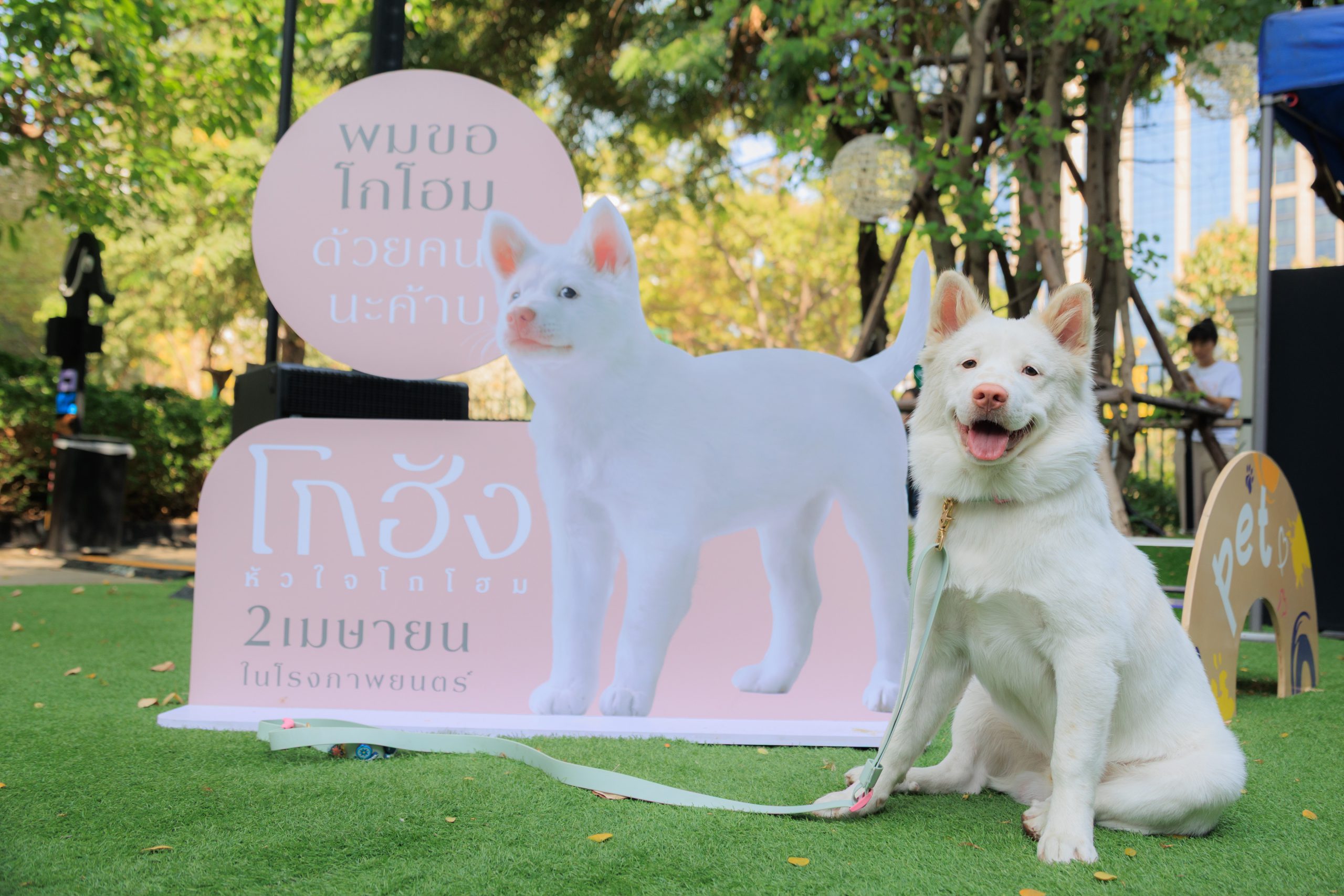 “GDH” แถลงข่าวเปิดตัวภาพยนตร์ “โกฮัง..หัวใจโกโฮม” เสิร์ฟโมเมนต์สุดอบอุ่น เปิดตัว ‘เจ้าโกฮัง’และเหล่านักแสดงนำเป็นครั้งแรก