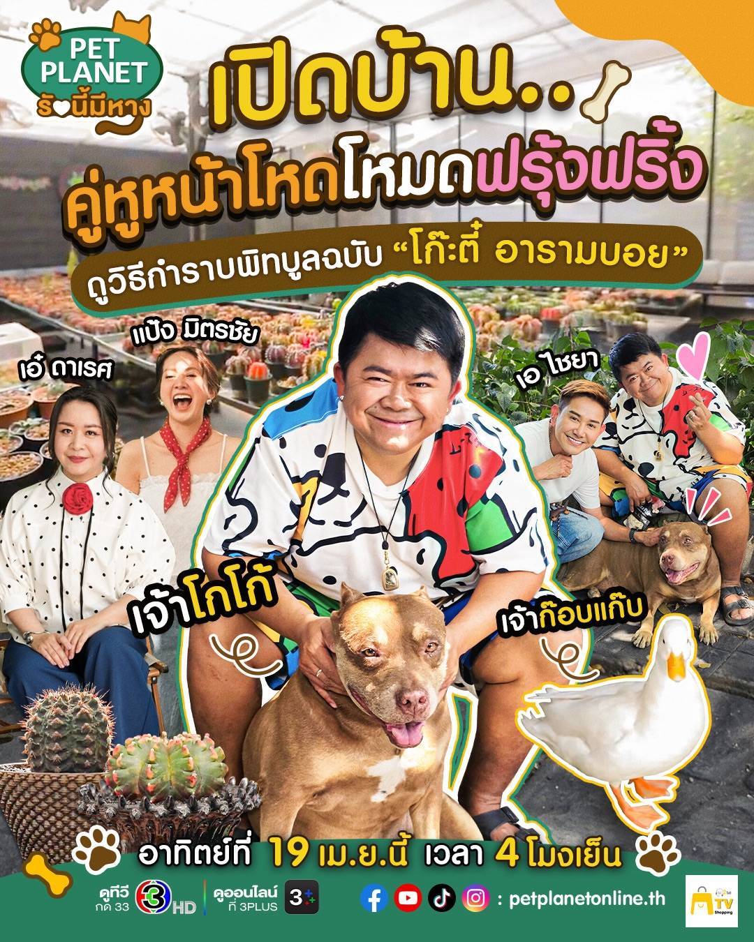 ชมความน่ารัก “โกโก้” เจ้าของฉายา“หน้าโหดโหมดคิตตี้”น้องหมาสุดหวงของ “โก๊ะตี๋ อารามบอย”ในรายการ “PET Planet รักนี้มีหาง” อาทิตย์ 19 เมษาฯ ทางช่อง 3HD