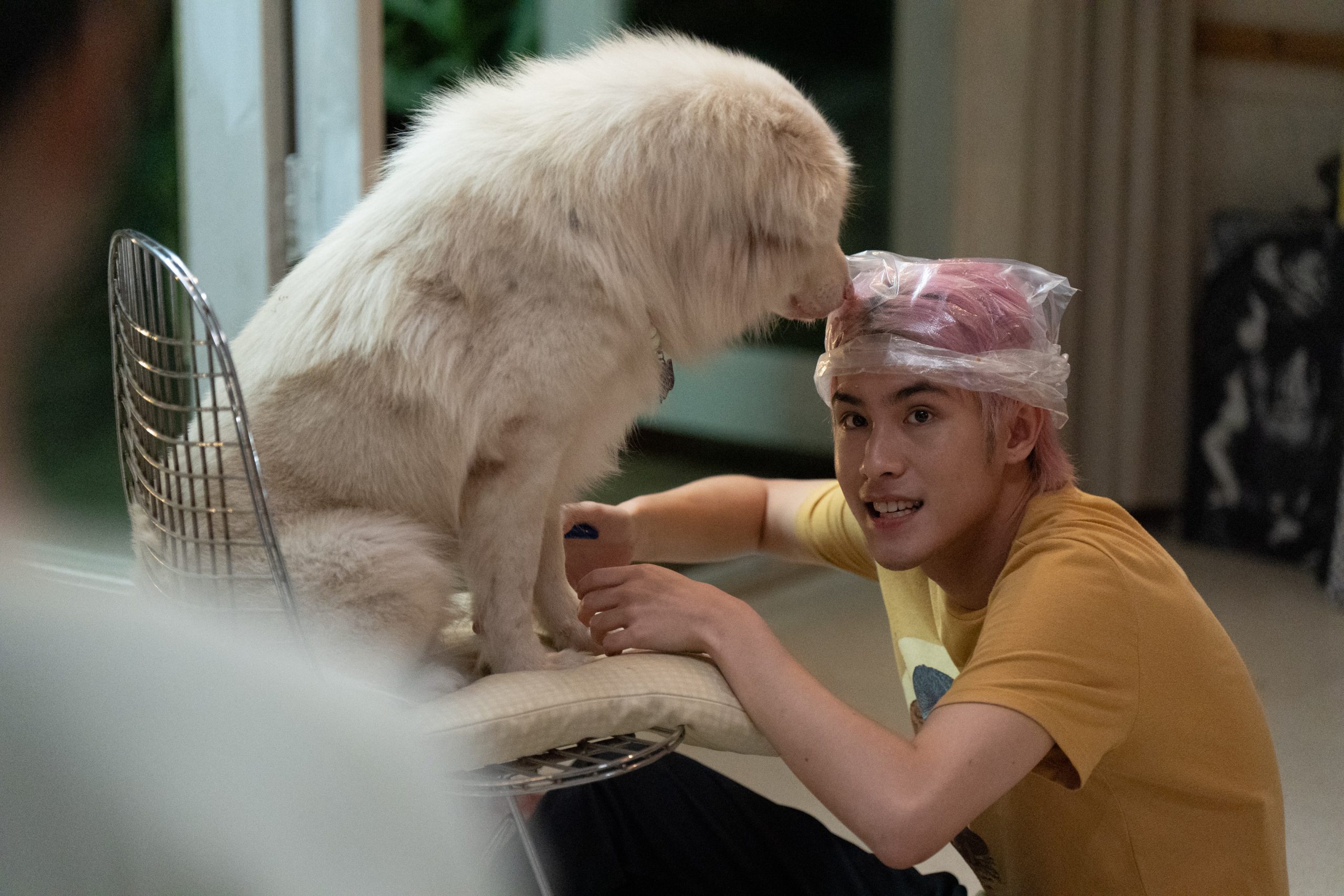 “เจ้านาย” เผยเมจิกโมเมนต์ วินาทีเข้าฉากกับ “ลุงหิมะ” (โกฮังวัยแก่) อินเนอร์มาเต็ม! ในหนัง “โกฮัง..หัวใจโกโฮม”